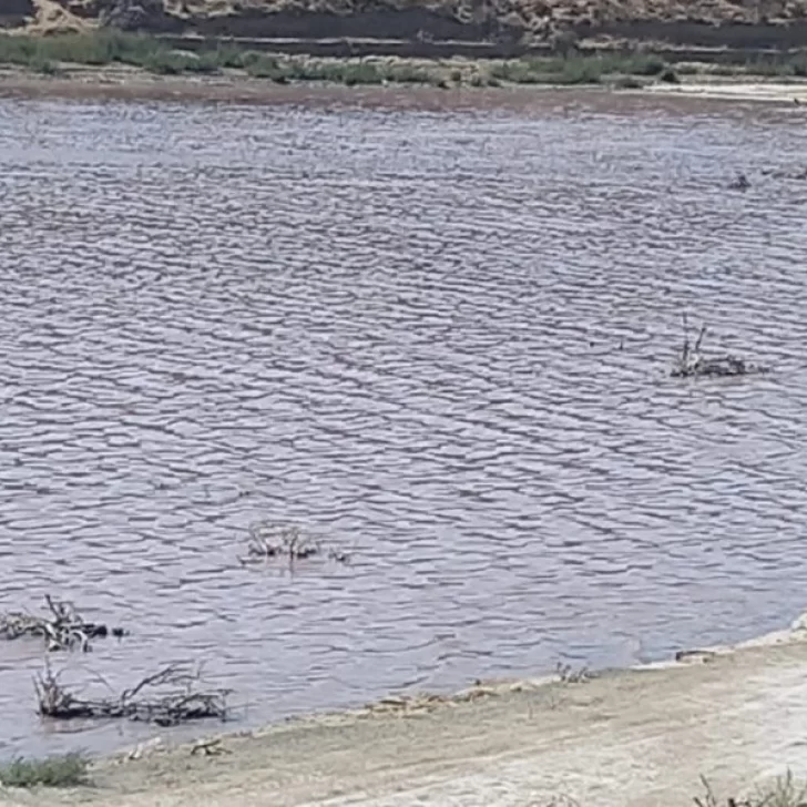 Extraño olor nauseabundo inunda a toda la villa de Rada Tilly: ¿De dónde viene?