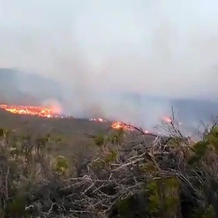 Incendio forestal en Los Manantiales: se perdieron unos US$ 300 mil Incendio forestal en Los Manantiales: se perdieron unos US$ 300 mil