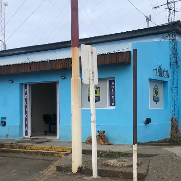 50 jóvenes fueron sorprendidos con gran cantidad de alcohol durante una fiesta clandestina