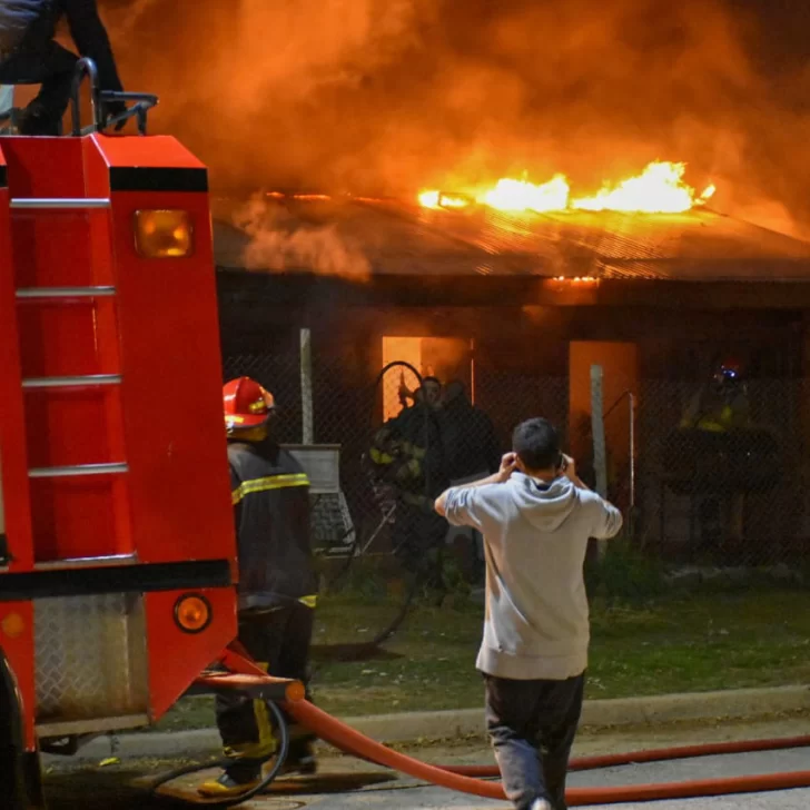 Un perro se salvó de un incendio pero murió electrocutado por un error
