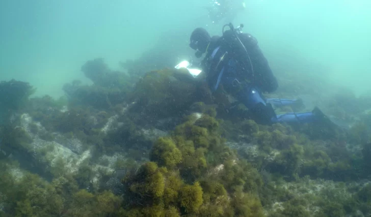 Corbeta Swift, un atractivo de arqueología subacuática