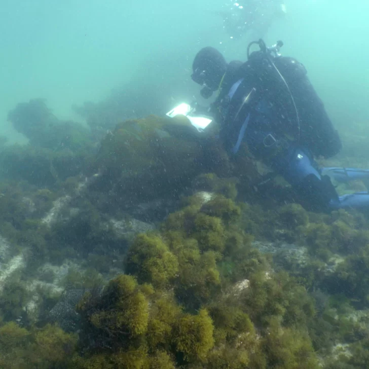 Corbeta Swift, un atractivo de arqueología subacuática