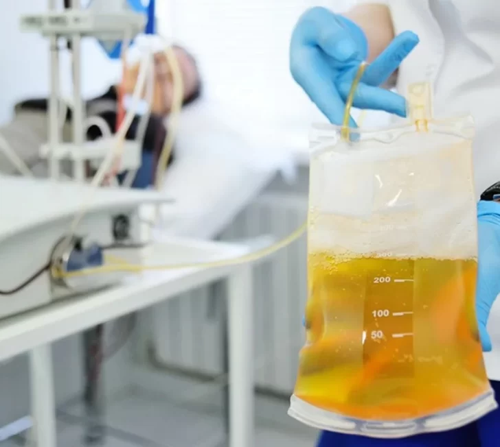 Campaña para donar plasma: quién puede y quién no