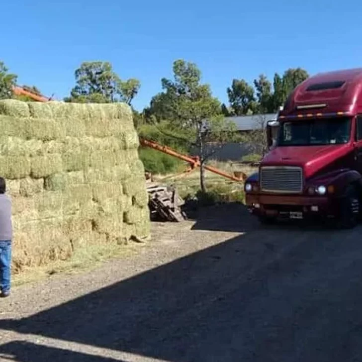 Vecinos de Comodoro Rivadavia donaron 140 fardos de pasto para los animales afectados por los incendios en la Comarca Andina