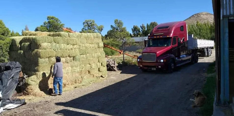 Vecinos de Comodoro Rivadavia donaron 140 fardos de pasto para los animales afectados por los incendios en la Comarca Andina