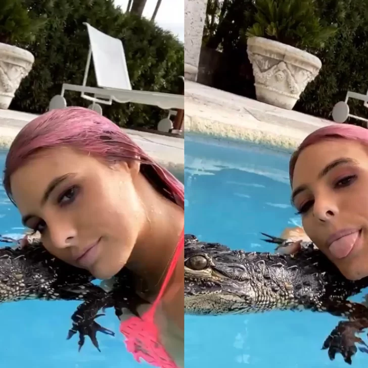 Lele Pons posó con cocodrilos y la acusaron de maltrato animal