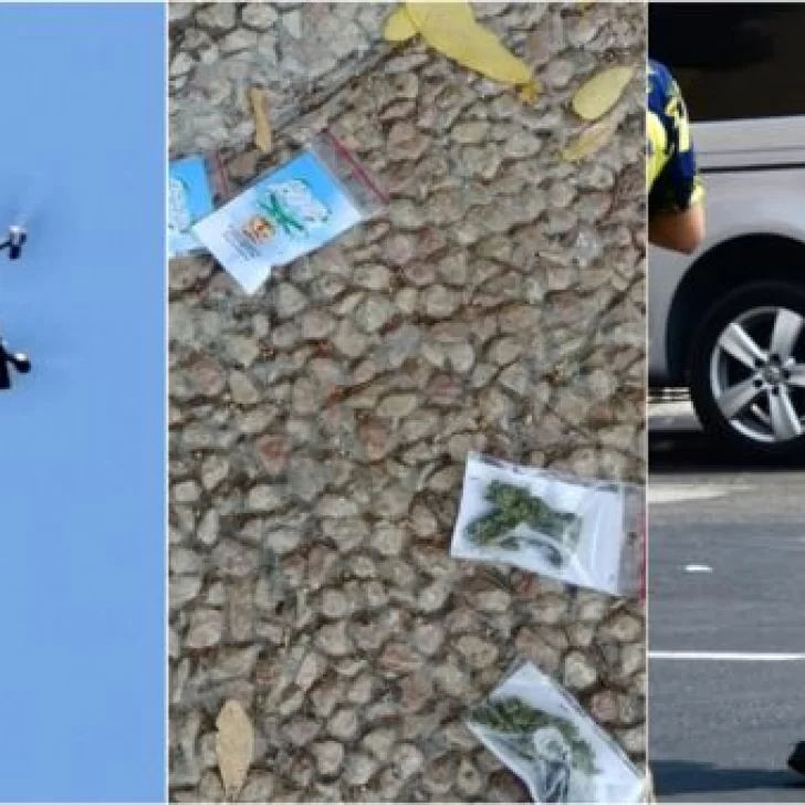 “¿Es un pájaro? ¿Es un avión?”:  llovieron bolsas de marihuana desde un dron en Tel Aviv