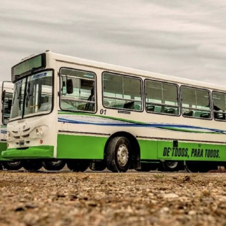 En su primer año de servicio MAXIA SRL no paró nunca En su primer año de servicio MAXIA SRL no paró nunca