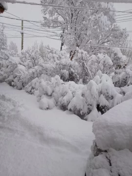 Clima en El Calafate: pronóstico del tiempo para hoy, miércoles 29 de mayo de 2024