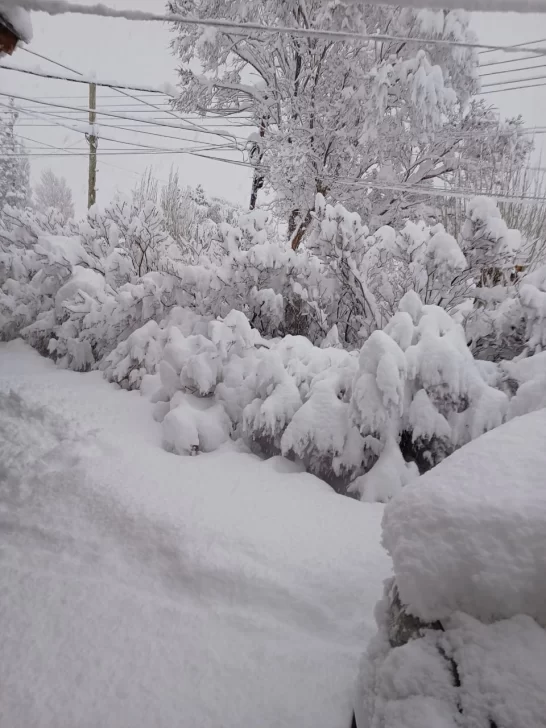 Clima en El Calafate: pronóstico del tiempo para hoy, miércoles 29 de mayo de 2024