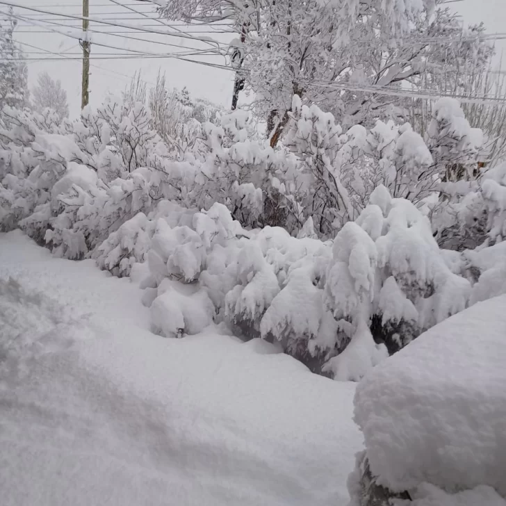 Clima en El Calafate: pronóstico del tiempo para hoy, miércoles 29 de mayo de 2024