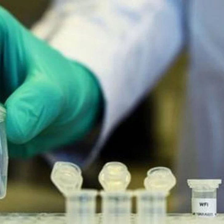 La nueva cepa de coronavirus ya fue detectada en ocho países europeos, según la OMS La nueva cepa de coronavirus ya fue detectada en ocho países europeos, según la OMS