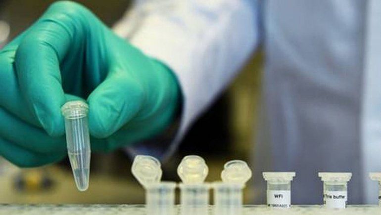 La nueva cepa de coronavirus ya fue detectada en ocho países europeos, según la OMS La nueva cepa de coronavirus ya fue detectada en ocho países europeos, según la OMS