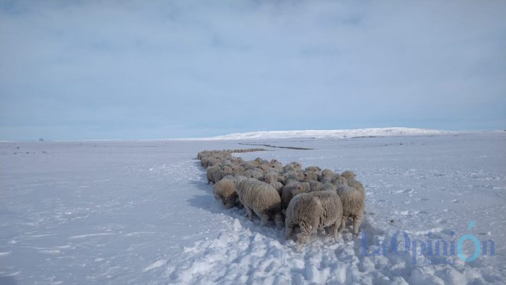 Dos provincias de la Patagonia bajo alerta meteorológica por lluvia y nevadas