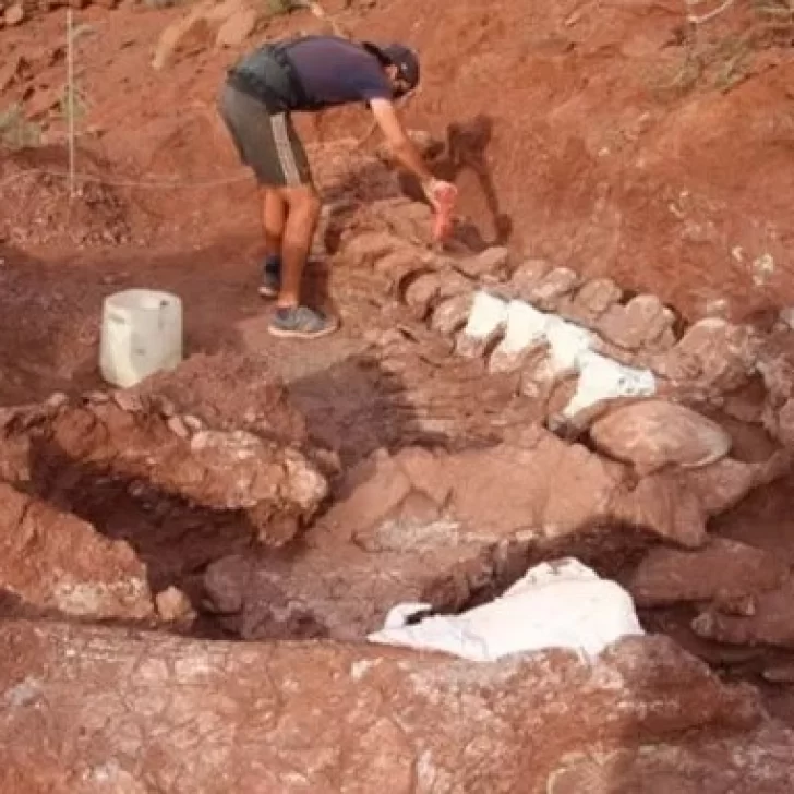 Anuncian que el titanosaurio más antiguo fue descubierto en la Patagonia