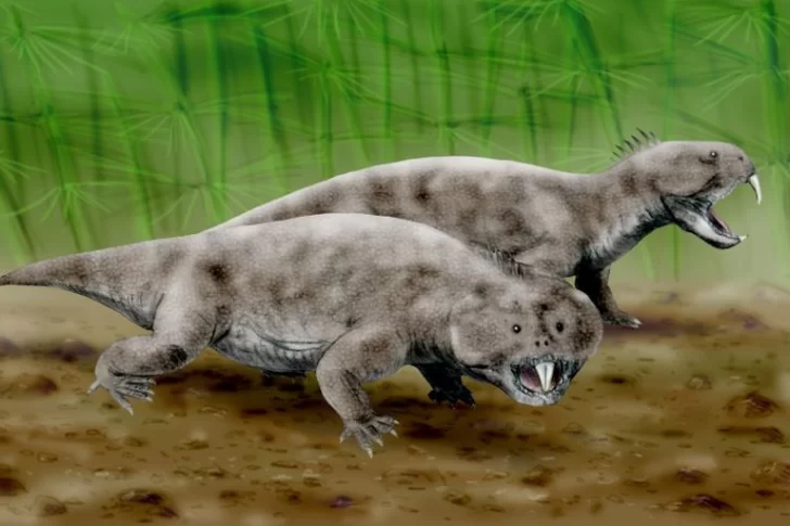 Investigadores argentinos hallan nueva especie de rincosaurio de 230 millones de años de antigüedad