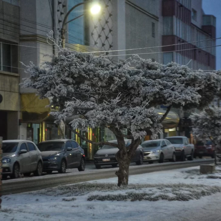 Tiempo en Río Gallegos: Madrugada con 12 grados bajo cero y mañana con niebla helada