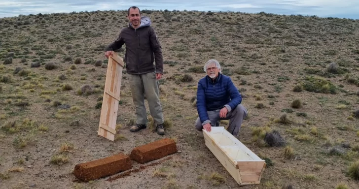 Cómo es el “cubito” energético-proteico que apuntalaría la reproducción ovina
