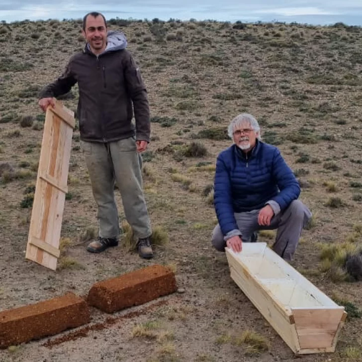 Cómo es el “cubito” energético-proteico que apuntalaría la reproducción ovina
