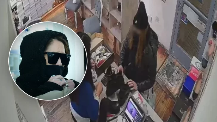 Quién es la mujer que fue atrapada tras haber robado una cartera en pleno centro de Río Gallegos