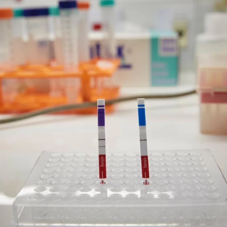 19 muertos y 1.581 nuevos contagios de coronavirus en Argentina 19 muertos y 1.581 nuevos contagios de coronavirus en Argentina