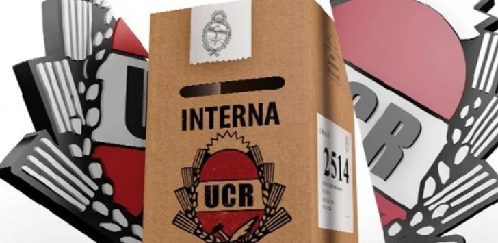 Elecciones 2025: la UCR de Santa Cruz proclamó la lista “Soluciones” como única candidatura
