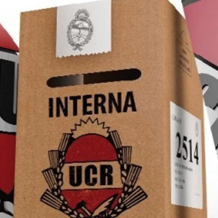 Elecciones 2025: la UCR de Santa Cruz proclamó la lista “Soluciones” como única candidatura Elecciones 2025: la UCR de Santa Cruz proclamó la lista “Soluciones” como única candidatura