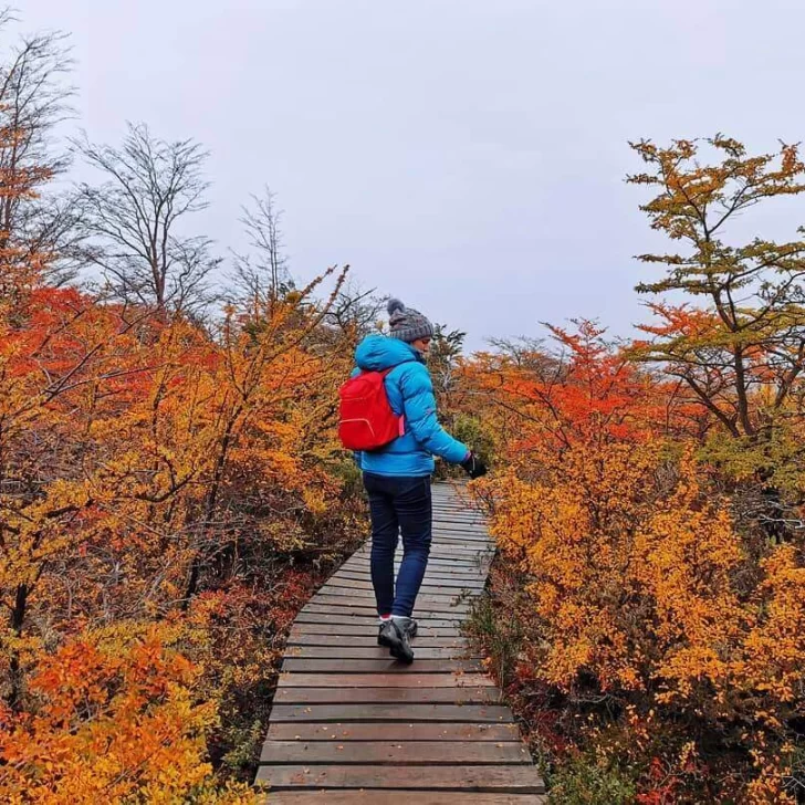 Equinoccio: comenzó el otoño en el hemisferio sur