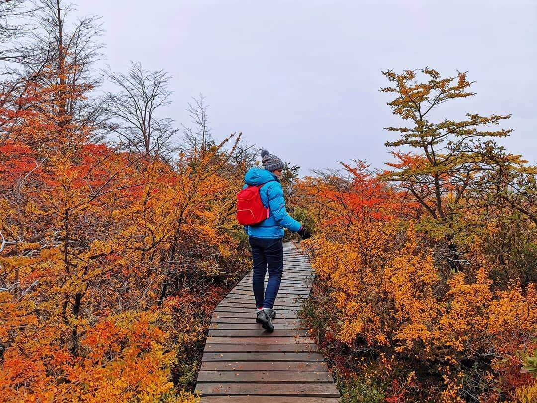 Equinoccio: comenzó el otoño en el hemisferio sur