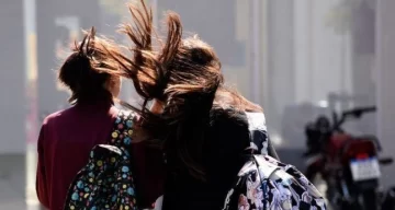 Alerta por vientos fuertes en Santa Cruz: qué zonas afectará y cómo prevenir riesgos Alerta por vientos fuertes en Santa Cruz: qué zonas afectará y cómo prevenir riesgos