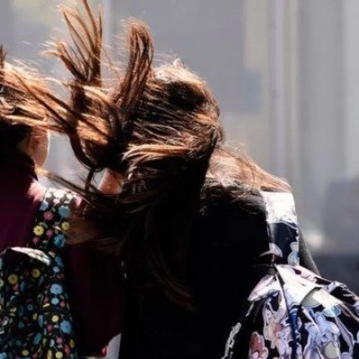 Alerta por vientos fuertes en Santa Cruz: qué zonas afectará y cómo prevenir riesgos Alerta por vientos fuertes en Santa Cruz: qué zonas afectará y cómo prevenir riesgos