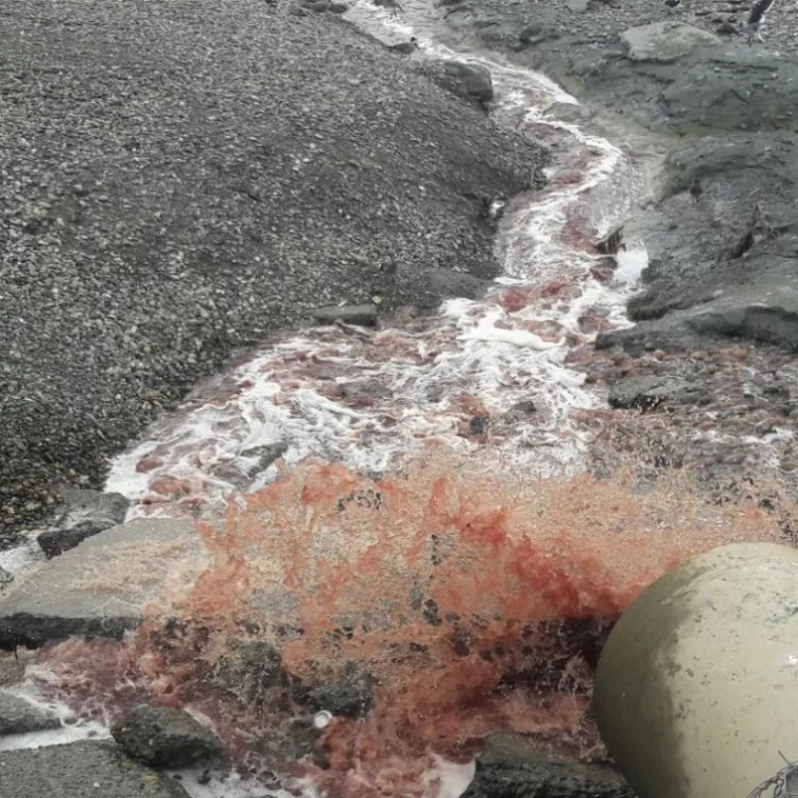Nuevamente contaminan la costanera local con residuos de faena