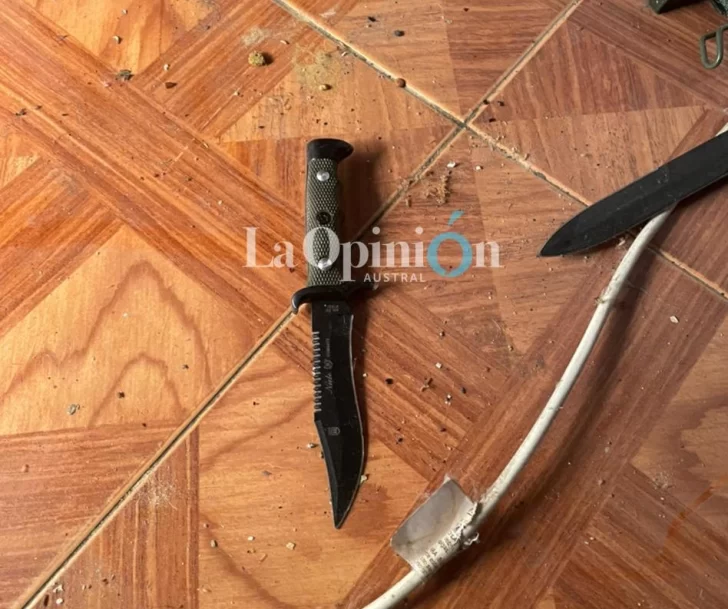 Las características de los cuchillos encontrados no coincidirían con los cortes en el cuerpo de Vicente Maillo