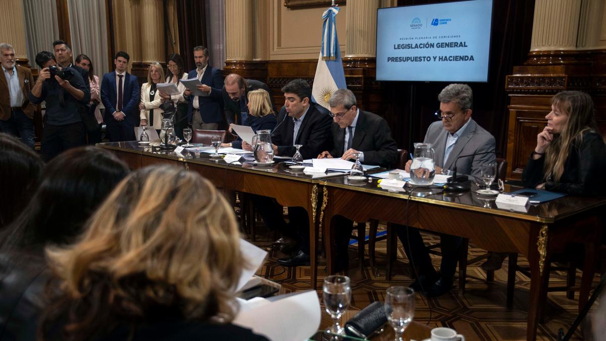 Ley de Alquileres: el oficialismo obtuvo el dictamen y el Senado votará entre dos proyectos