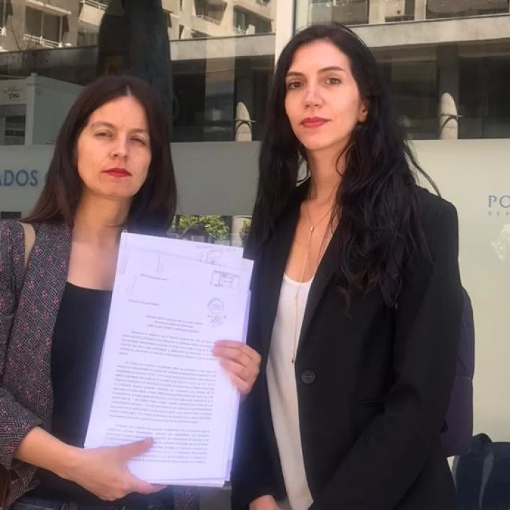 Abogadas Feministas de Chile denuncian que las comisarías deniegan información sobre personas detenidas Abogadas Feministas de Chile denuncian que las comisarías deniegan información sobre personas detenidas