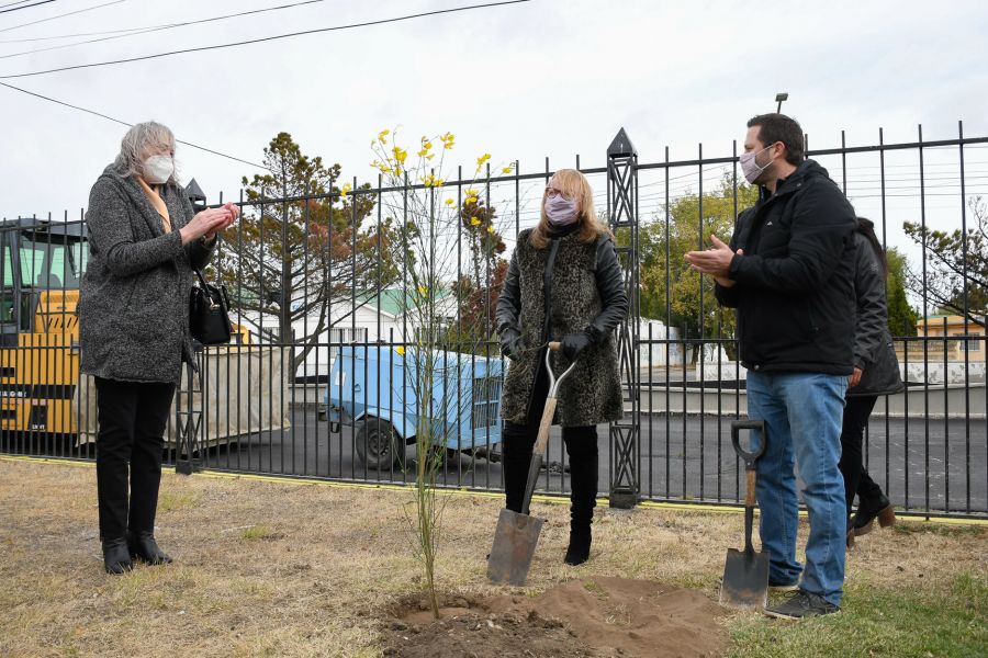 Alicia Kirchner plantó un árbol por los 30.000 desaparecidos en la dictadura