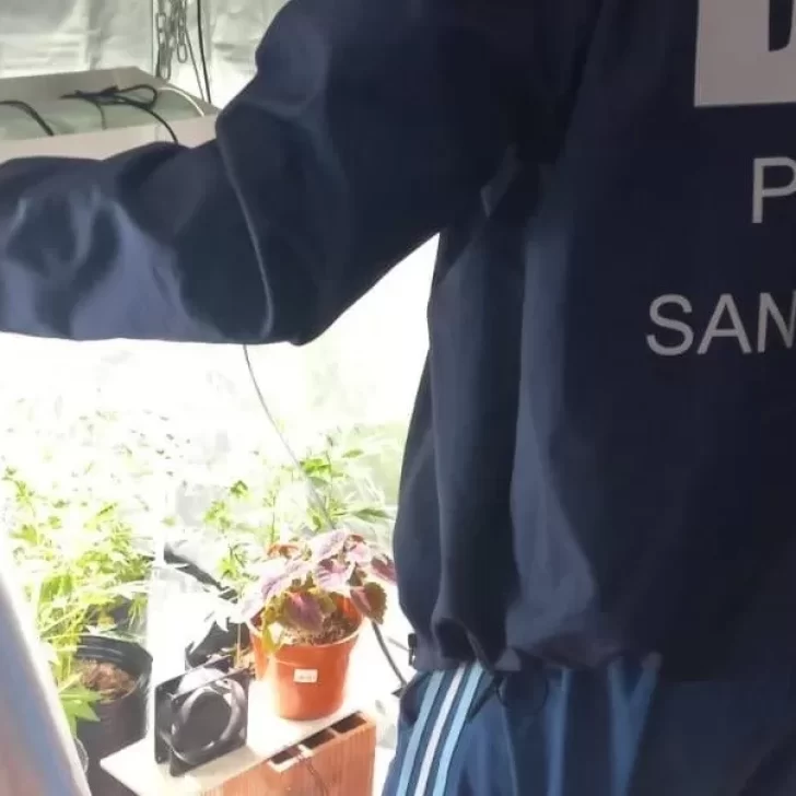 Le allanaron la casa y encontraron tres carabinas, una escopeta y plantas de marihuana
