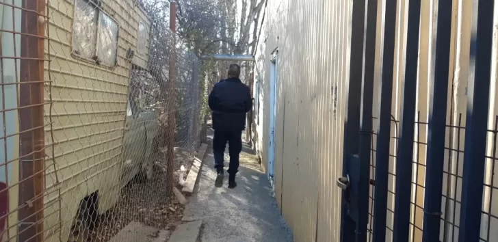 Bochorno: los “dólares termosellados” que denunció Mariana Zuvic eran billetes del juego “El Estanciero”