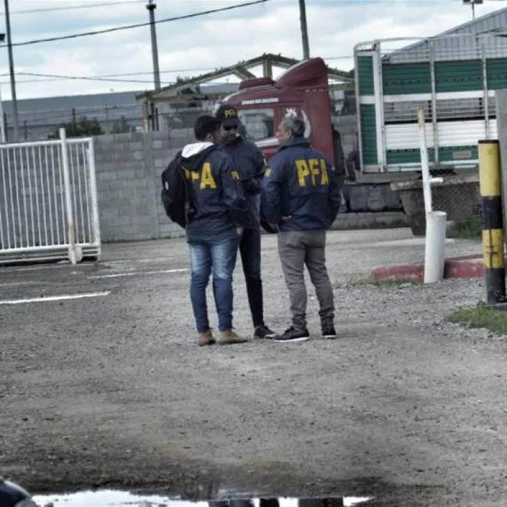 Allanan frigoríficos por el derrame de sangre en la costanera de Río Gallegos