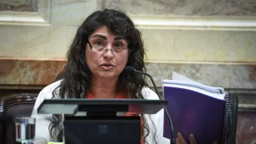 Ana Ianni: “El temor es qué va a pasar con nuestra Caja de Previsión”