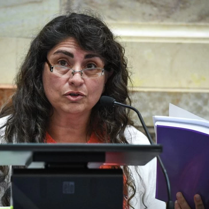 Ana Ianni: “El temor es qué va a pasar con nuestra Caja de Previsión”