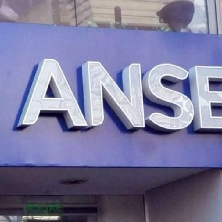 El Programa “ANSES en tu barrio” atiende nuevamente en Km. 8