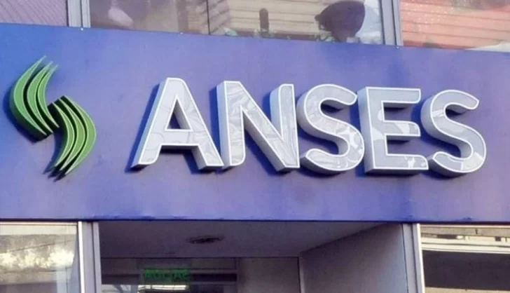 La Anses habilitó la carga de la declaración jurada que reemplaza la Libreta de la AUH