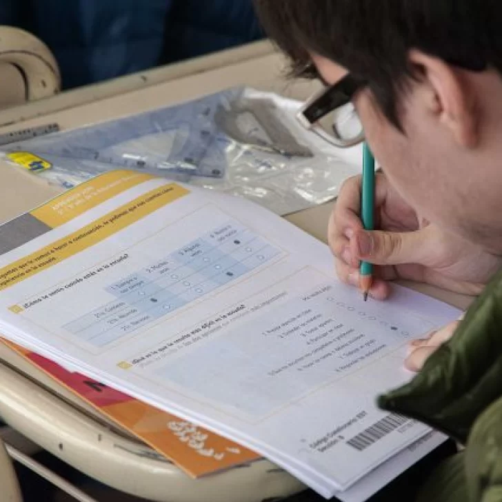 Pruebas Aprender: sólo el 45% de los alumnos alcanza los niveles de lectura esperados