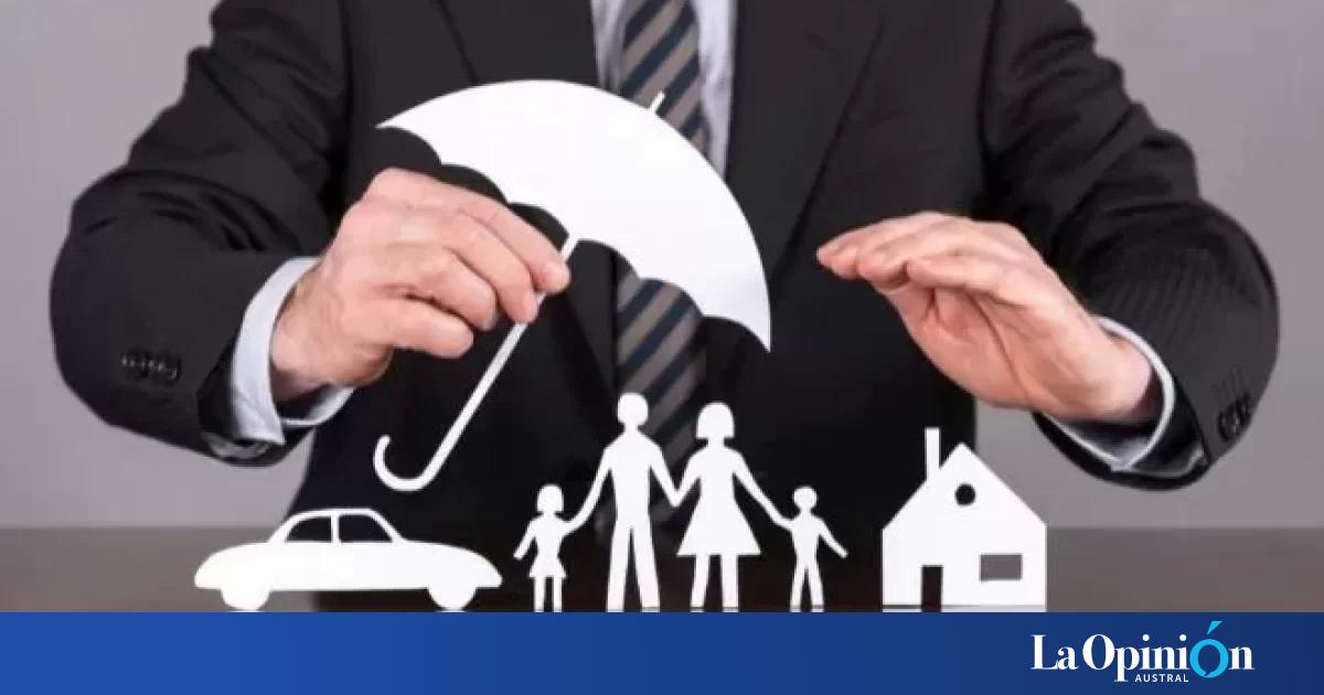 El Gobierno de Santa Cruz quiere crear una Compañía de Seguros ...