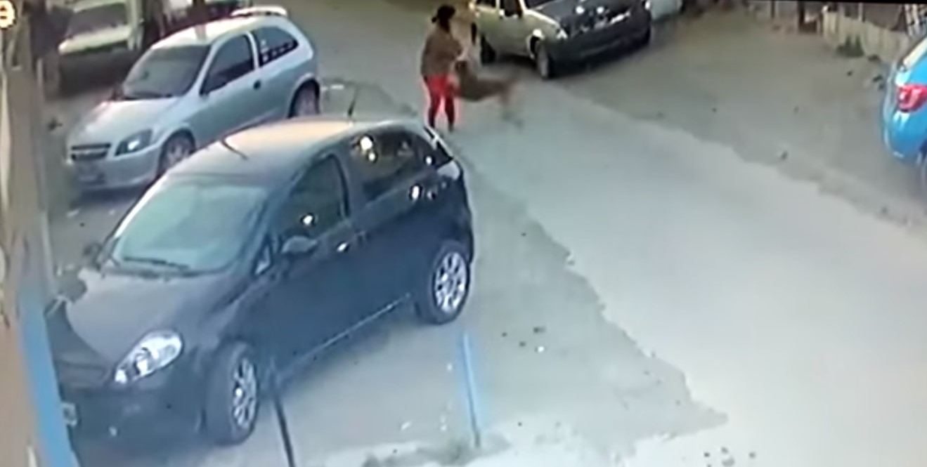 Video. Terror en la vía pública: dos perros atacan a una mujer Video. Terror en la vía pública: dos perros atacan a una mujer