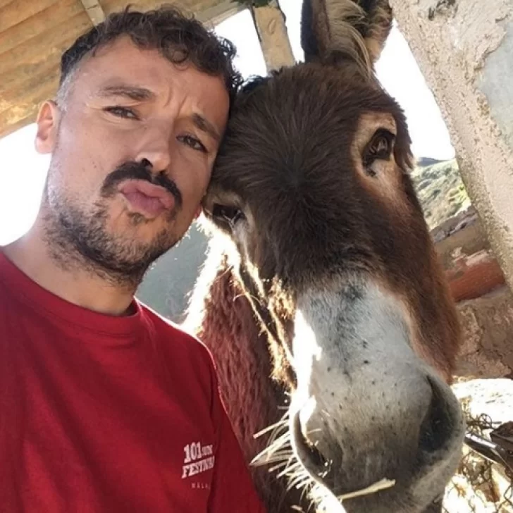 De película: el reencuentro entre una burra y su dueño tras dos meses separados De película: el reencuentro entre una burra y su dueño tras dos meses separados