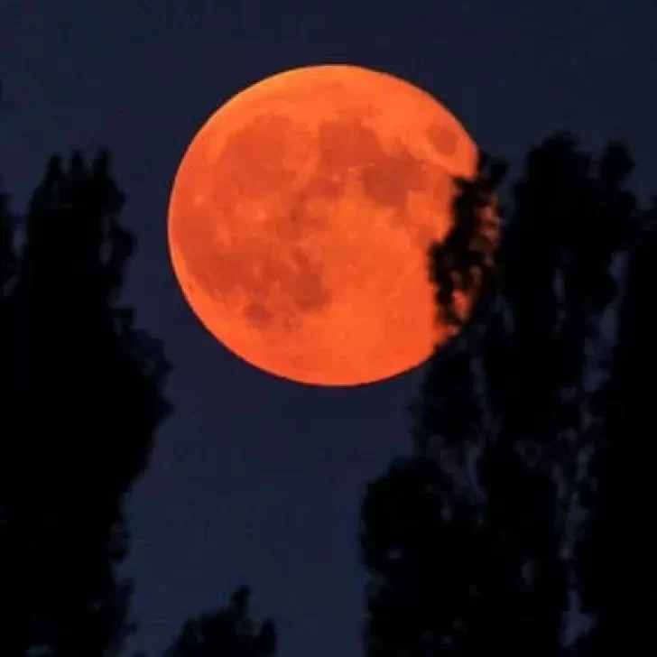 Luna de Sangre: llega el eclipse lunar más largo del siglo y se podrá ver en Argentina