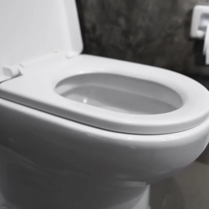 Día Mundial del Inodoro: en la Argentina 6 millones no tienen baño Día Mundial del Inodoro: en la Argentina 6 millones no tienen baño