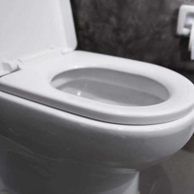 Día Mundial del Inodoro: en la Argentina 6 millones no tienen baño